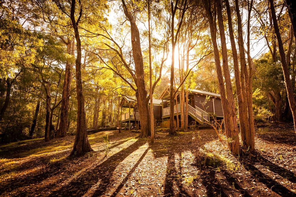 Riverglen Chalets Margaret River Room photo